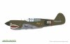 Eduard 82241 P-40E Warhawk 1/48